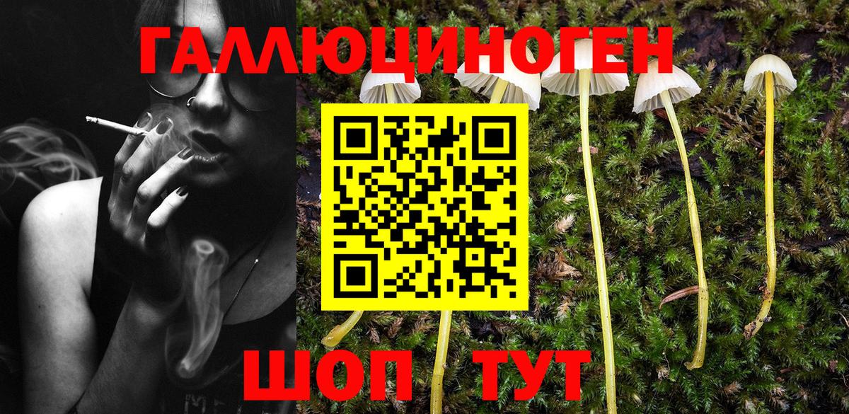 Псилоцибиновые грибы GOLDEN TEACHER Нововоронеж